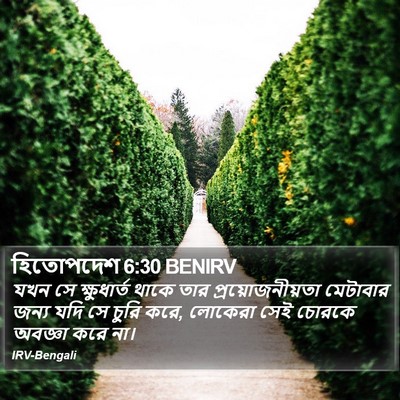 হিতোপদেশ 6:30 BENIRV Bible Verse Image