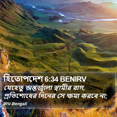 হিতোপদেশ 6:34 BENIRV Bible Verse Image