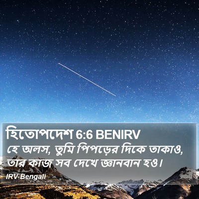হিতোপদেশ 6:6 BENIRV Bible Verse Image