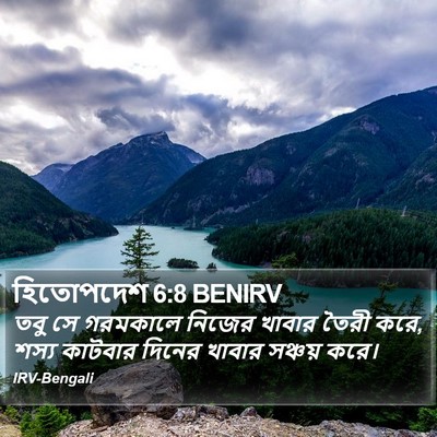 হিতোপদেশ 6:8 BENIRV Bible Verse Image