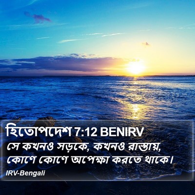 হিতোপদেশ 7:12 BENIRV Bible Verse Image