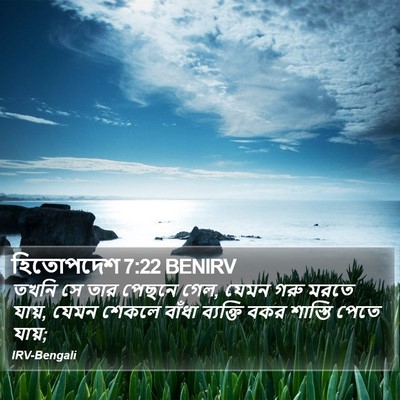 হিতোপদেশ 7:22 BENIRV Bible Verse Image