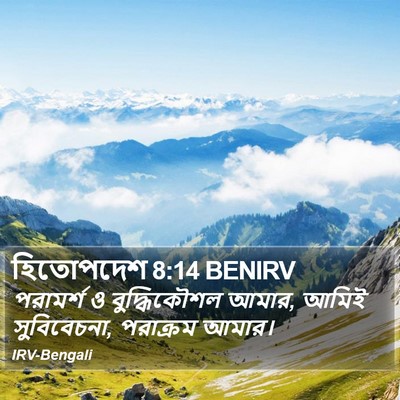 হিতোপদেশ 8:14 BENIRV Bible Verse Image