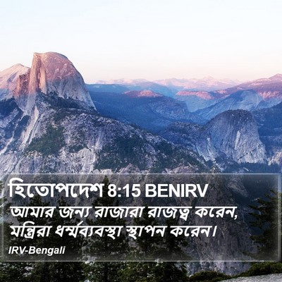 হিতোপদেশ 8:15 BENIRV Bible Verse Image