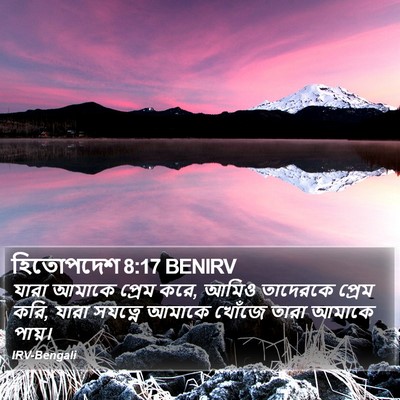 হিতোপদেশ 8:17 BENIRV Bible Verse Image