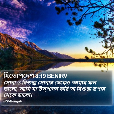 হিতোপদেশ 8:19 BENIRV Bible Verse Image