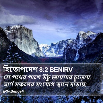 হিতোপদেশ 8:2 BENIRV Bible Verse Image