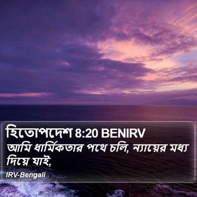 হিতোপদেশ 8:20 BENIRV Bible Verse Image