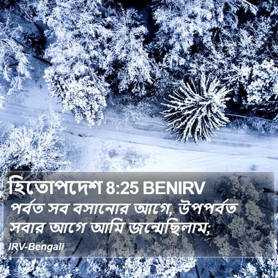 হিতোপদেশ 8:25 BENIRV Bible Verse Image