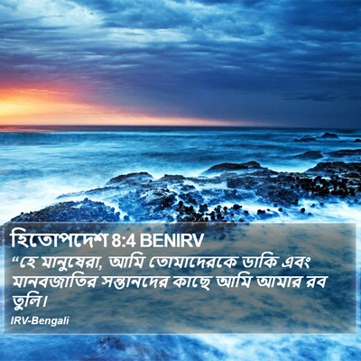 হিতোপদেশ 8:4 BENIRV Bible Verse Image