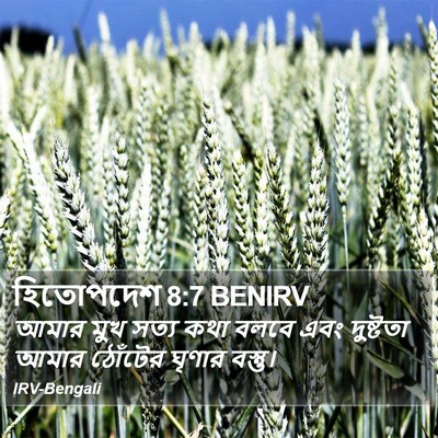 হিতোপদেশ 8:7 BENIRV Bible Verse Image