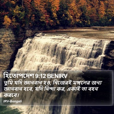 হিতোপদেশ 9:12 BENIRV Bible Verse Image