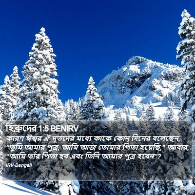 হিব্রুদের 1:5 BENIRV Bible Verse Image