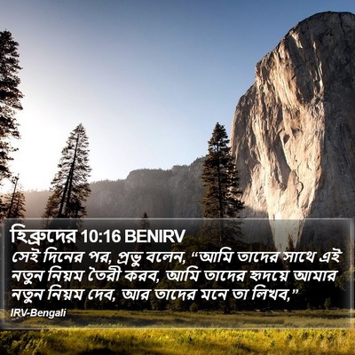 হিব্রুদের 10:16 BENIRV Bible Verse Image