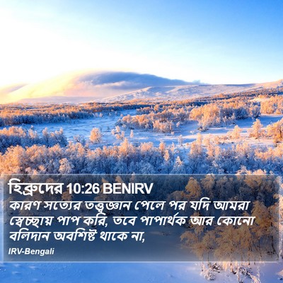 হিব্রুদের 10:26 BENIRV Bible Verse Image
