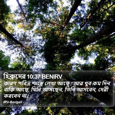 হিব্রুদের 10:37 BENIRV Bible Verse Image