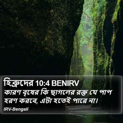 হিব্রুদের 10:4 BENIRV Bible Verse Image