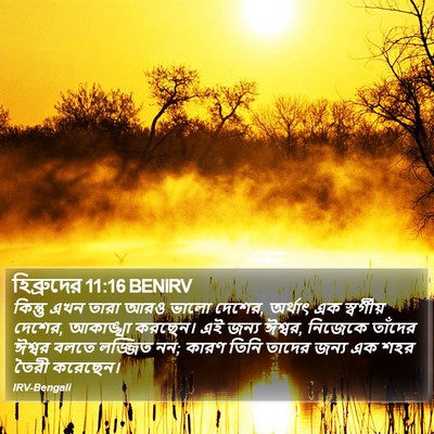 হিব্রুদের 11:16 BENIRV Bible Verse Image
