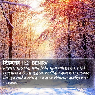 হিব্রুদের 11:21 BENIRV Bible Verse Image