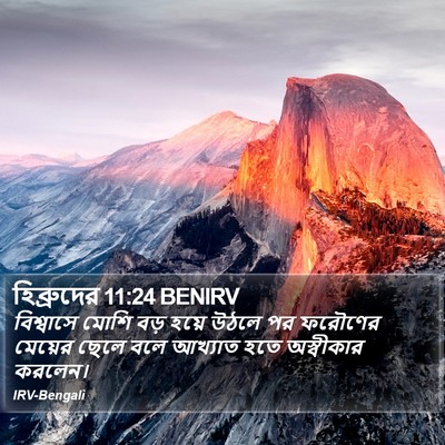 হিব্রুদের 11:24 BENIRV Bible Verse Image