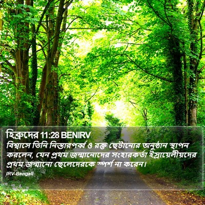 হিব্রুদের 11:28 BENIRV Bible Verse Image