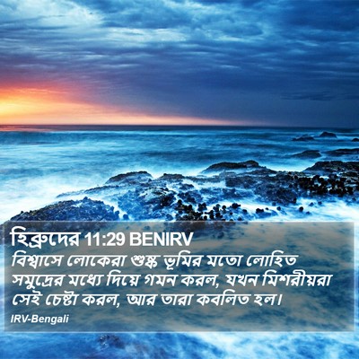 হিব্রুদের 11:29 BENIRV Bible Verse Image