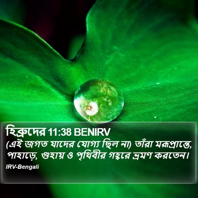 হিব্রুদের 11:38 BENIRV Bible Verse Image