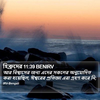 হিব্রুদের 11:39 BENIRV Bible Verse Image