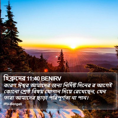 হিব্রুদের 11:40 BENIRV Bible Verse Image