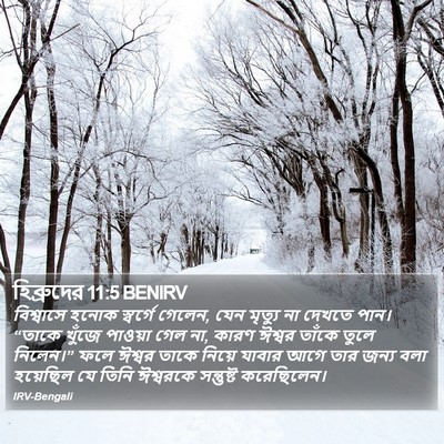 হিব্রুদের 11:5 BENIRV Bible Verse Image