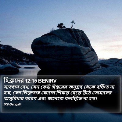 হিব্রুদের 12:15 BENIRV Bible Verse Image