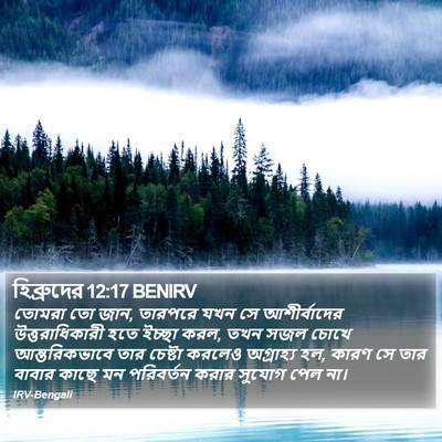 হিব্রুদের 12:17 BENIRV Bible Verse Image
