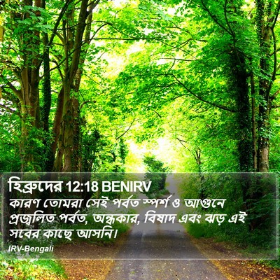 হিব্রুদের 12:18 BENIRV Bible Verse Image