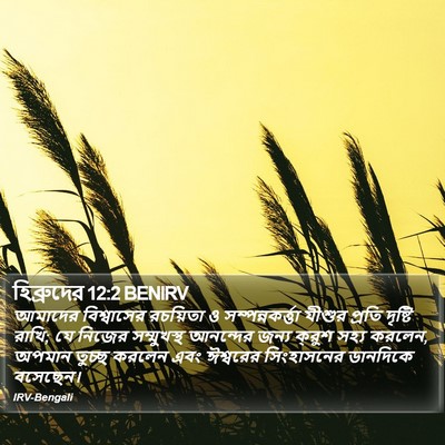 হিব্রুদের 12:2 BENIRV Bible Verse Image