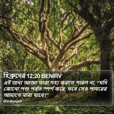 হিব্রুদের 12:20 BENIRV Bible Verse Image