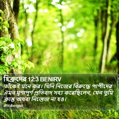 হিব্রুদের 12:3 BENIRV Bible Verse Image