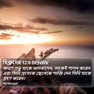 হিব্রুদের 12:6 BENIRV Bible Verse Image
