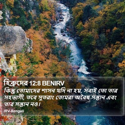 হিব্রুদের 12:8 BENIRV Bible Verse Image