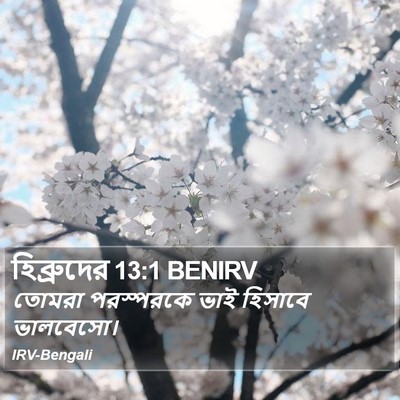 হিব্রুদের 13:1 BENIRV Bible Verse Image