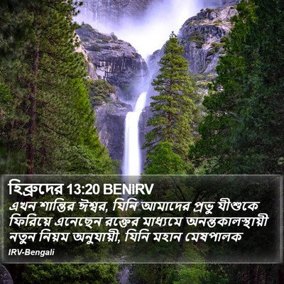 হিব্রুদের 13:20 BENIRV Bible Verse Image