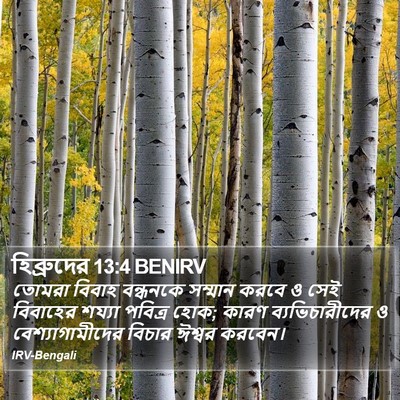 হিব্রুদের 13:4 BENIRV Bible Verse Image