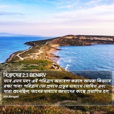 হিব্রুদের 2:3 BENIRV Bible Verse Image