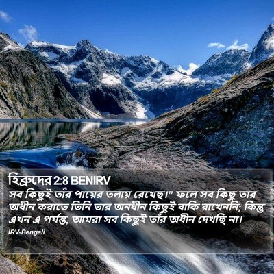 হিব্রুদের 2:8 BENIRV Bible Verse Image