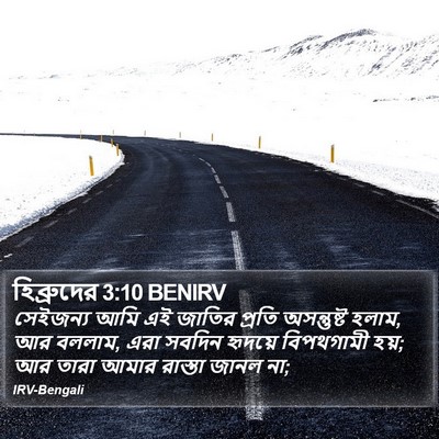 হিব্রুদের 3:10 BENIRV Bible Verse Image