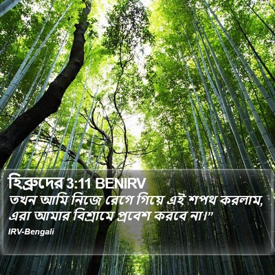 হিব্রুদের 3:11 BENIRV Bible Verse Image