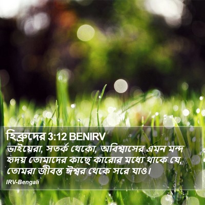 হিব্রুদের 3:12 BENIRV Bible Verse Image