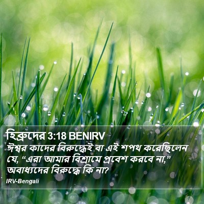 হিব্রুদের 3:18 BENIRV Bible Verse Image