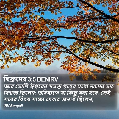 হিব্রুদের 3:5 BENIRV Bible Verse Image