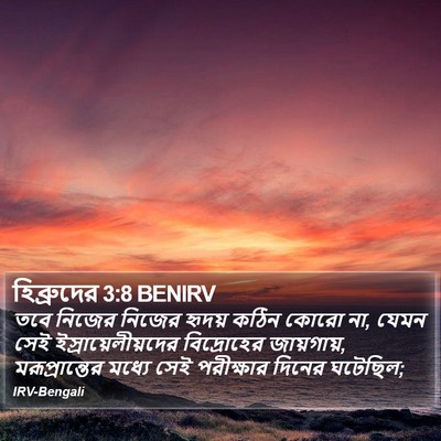 হিব্রুদের 3:8 BENIRV Bible Verse Image