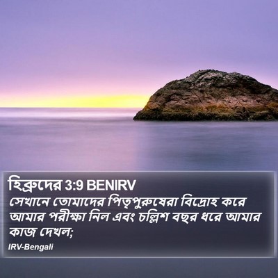 হিব্রুদের 3:9 BENIRV Bible Verse Image